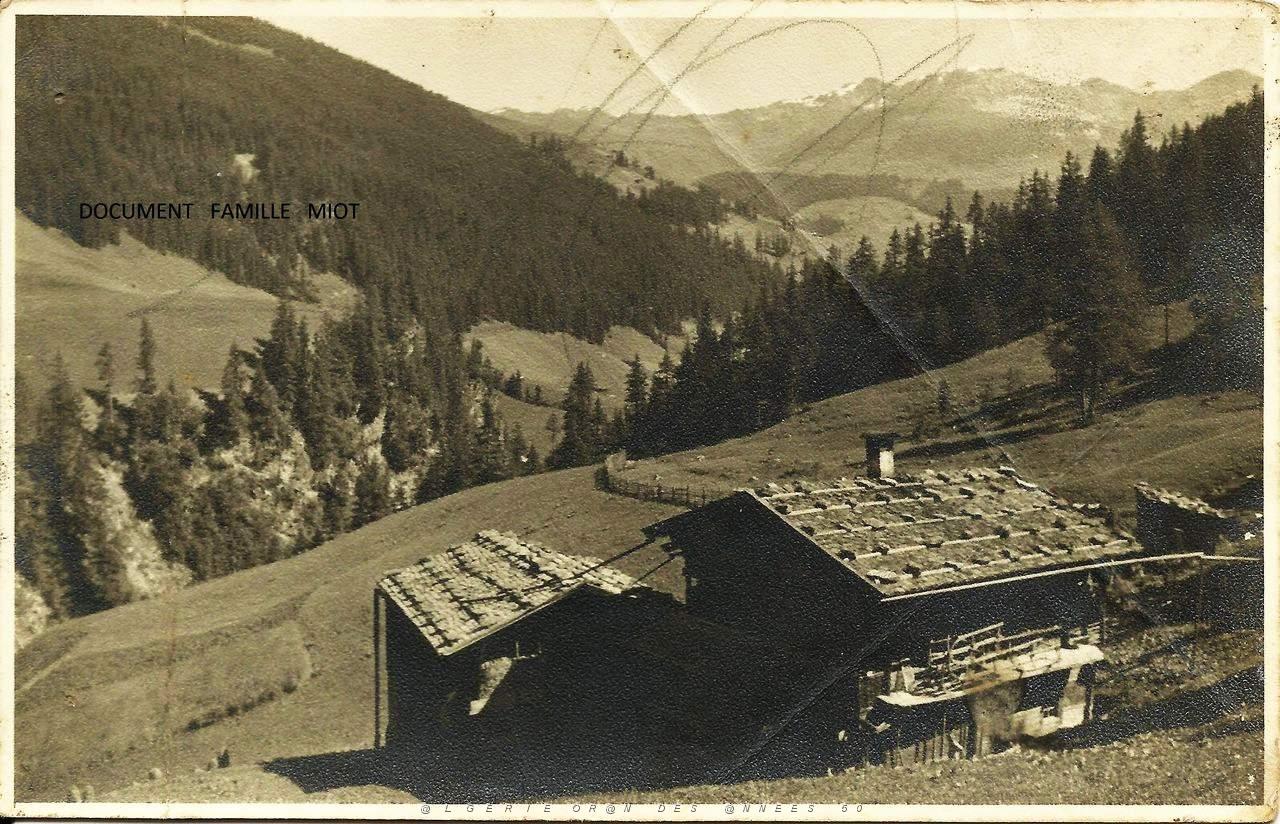 215.jpg