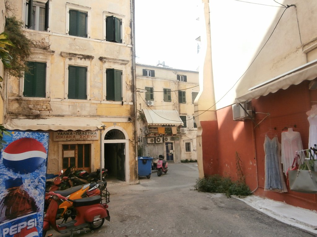P9060083.JPG