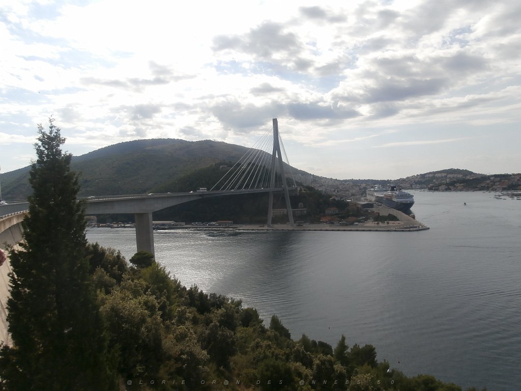 P9070111.JPG