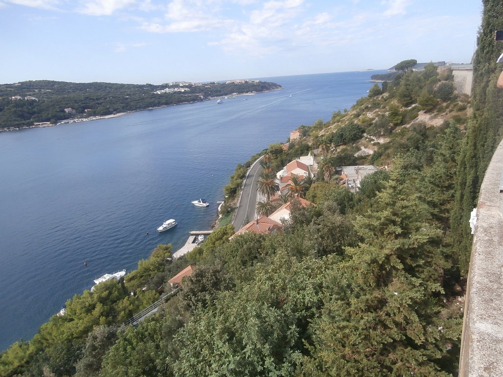 P9070113.JPG