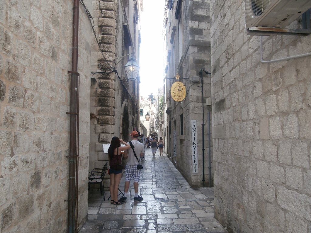P9070127.JPG