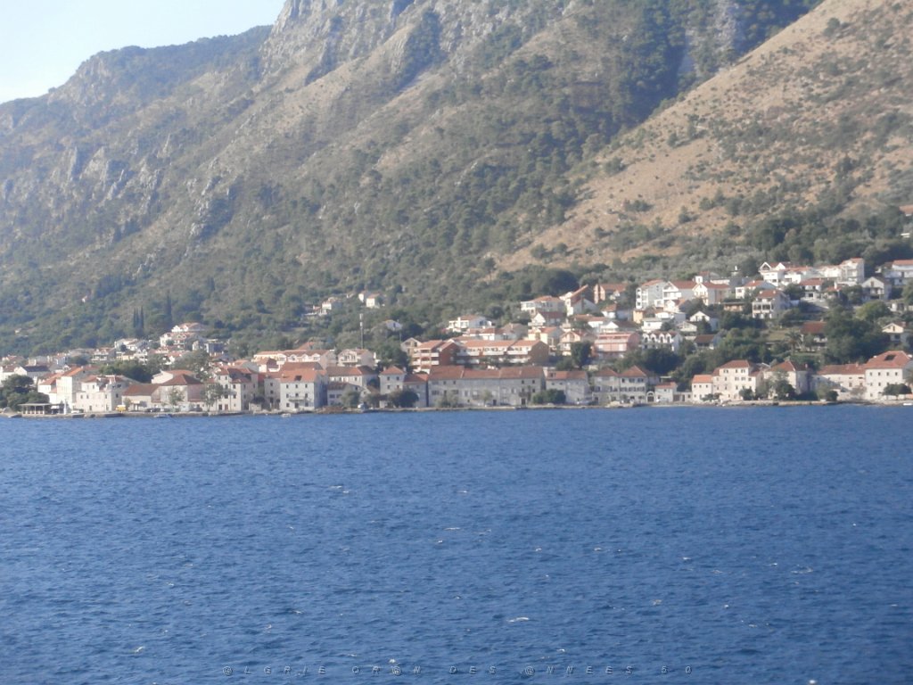 P9080173.JPG