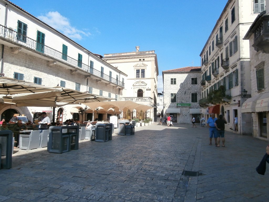 P9080177.JPG