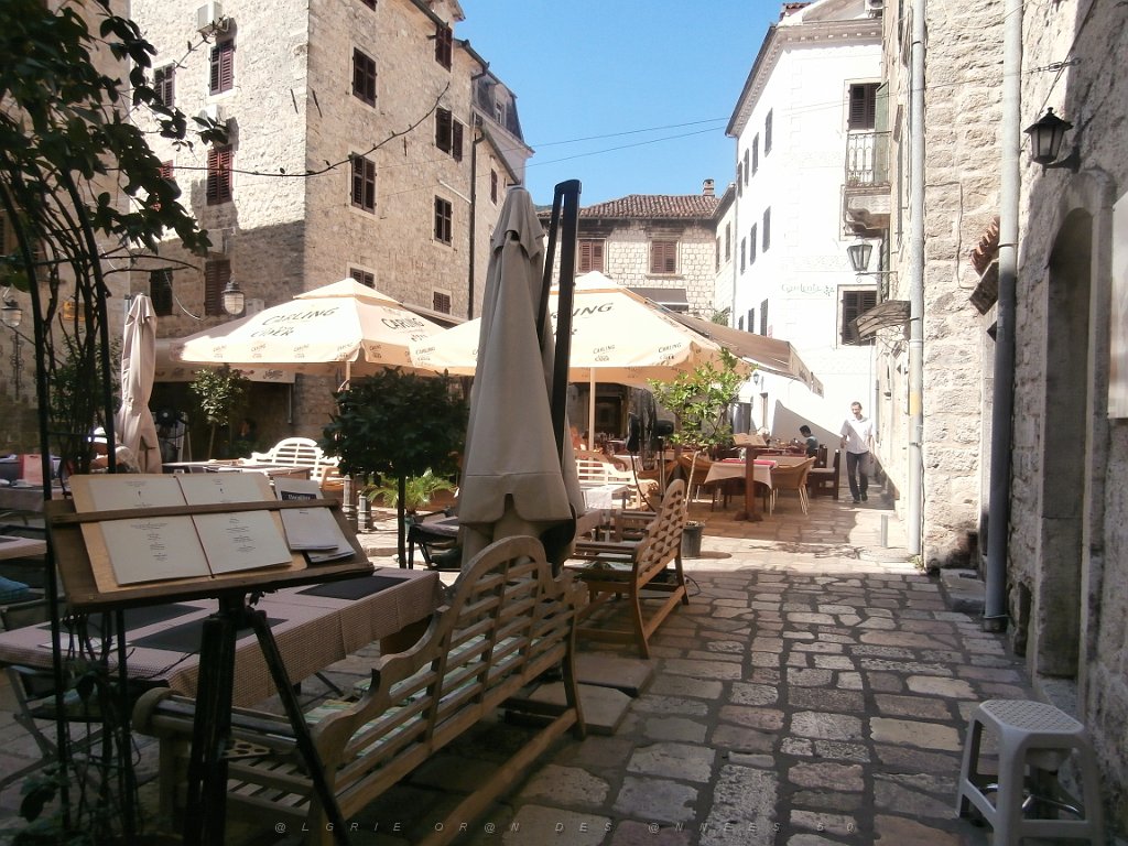 P9080190.JPG