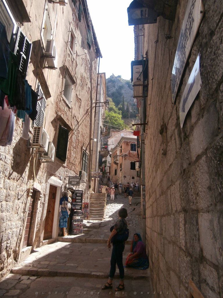 P9080192.JPG