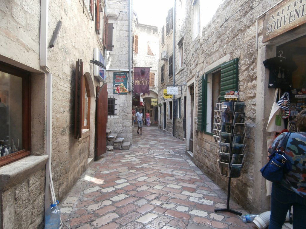 P9080216.JPG