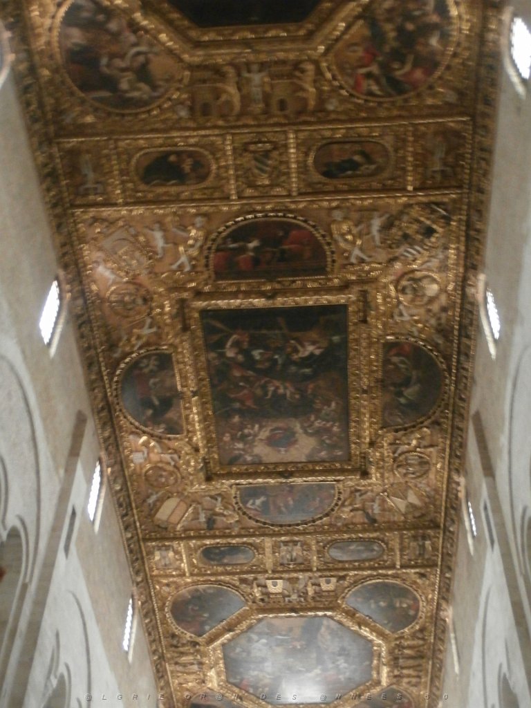 P9090237.JPG