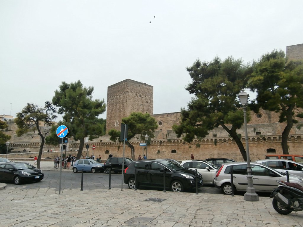 P9090244.JPG