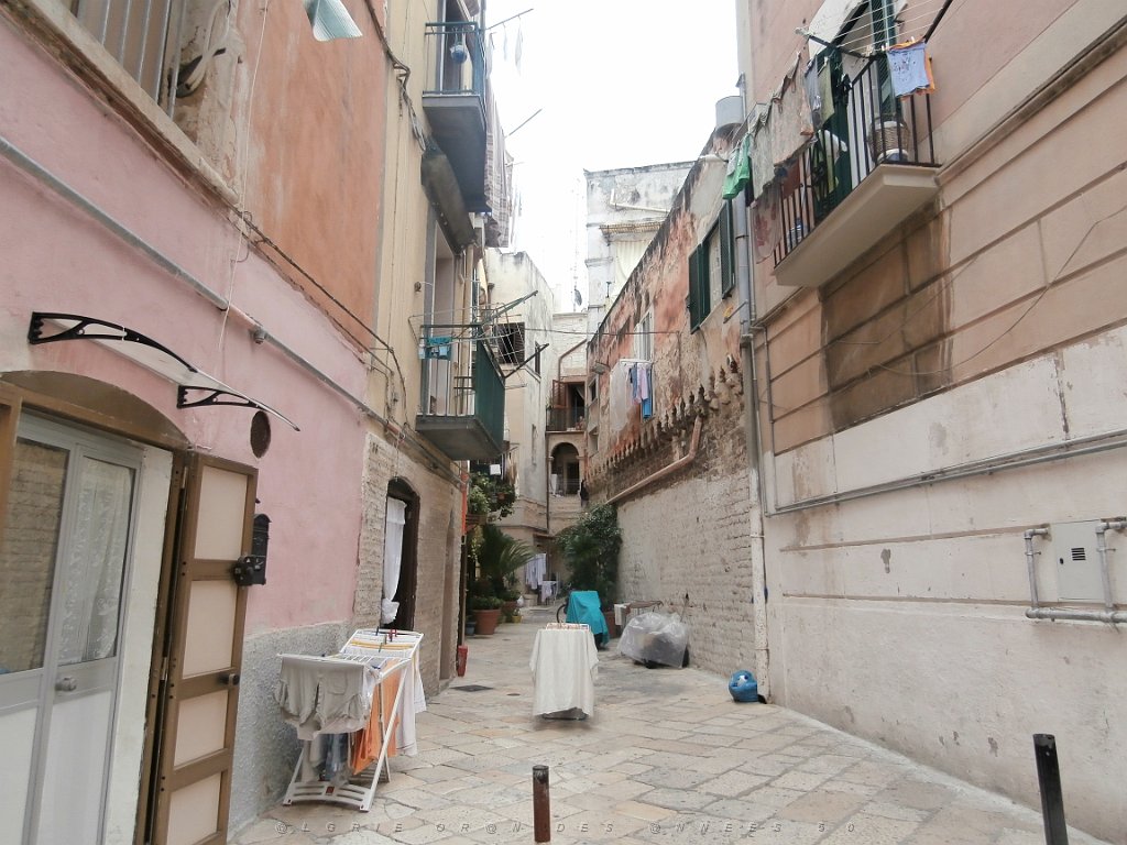 P9090253.JPG