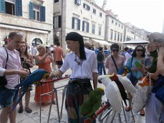 P9070132