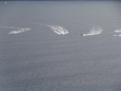 P9110332