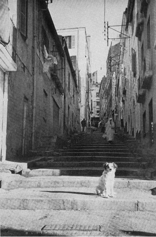 rue-de-genes.jpg