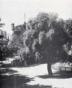 chateau-neuf