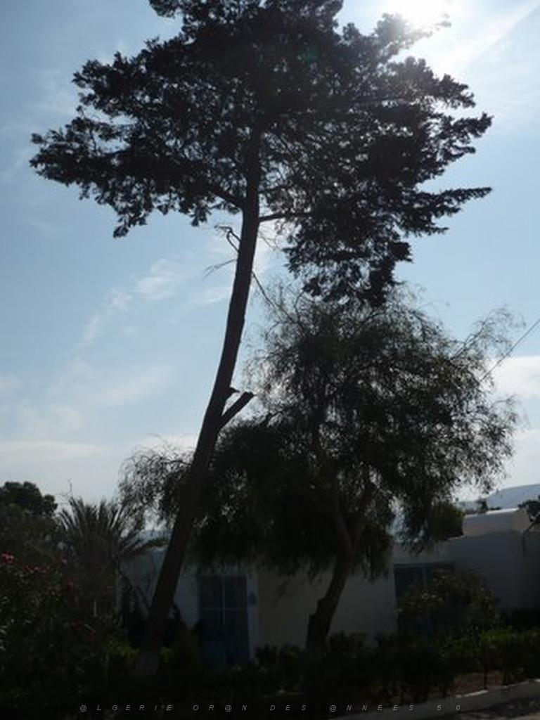 P1010417.JPG