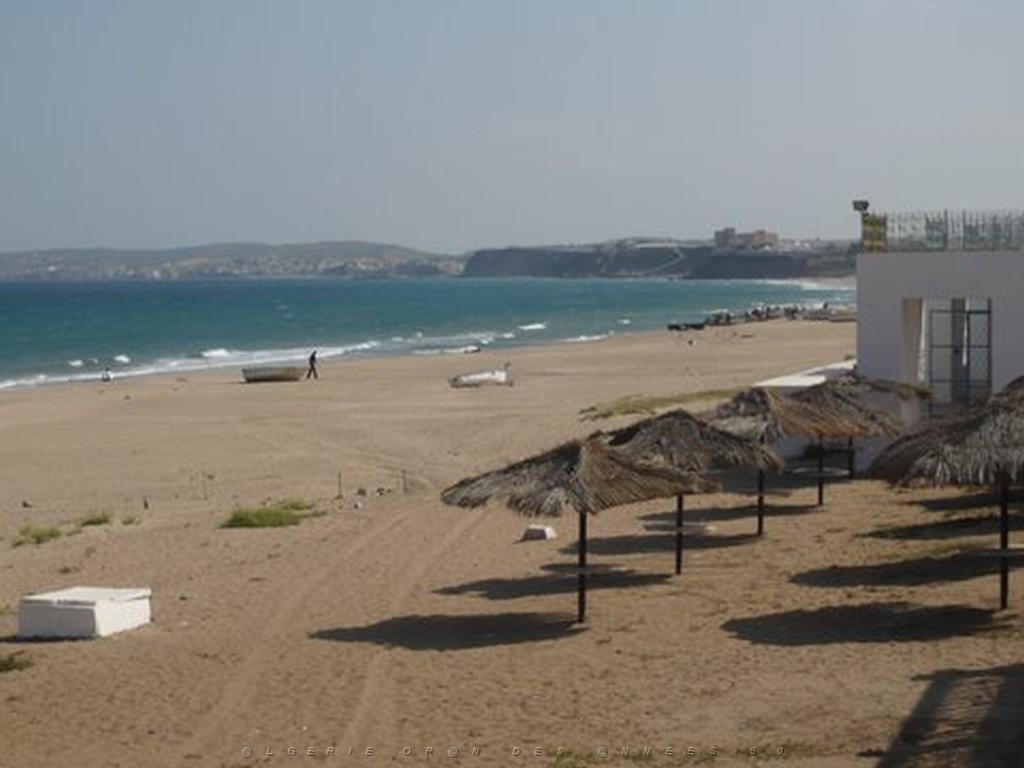 P1010430.JPG
