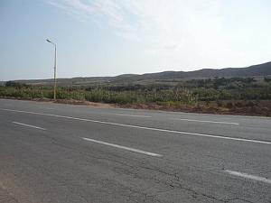 P1010397