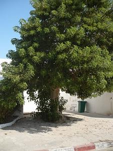 P1010416