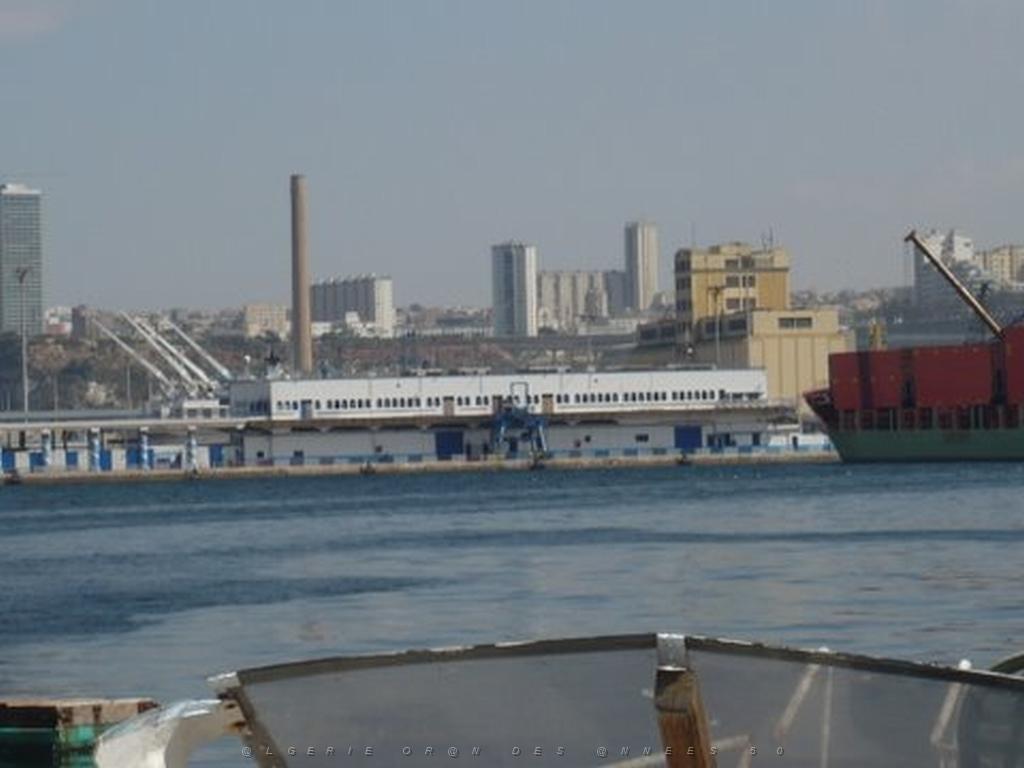 P1010451.JPG