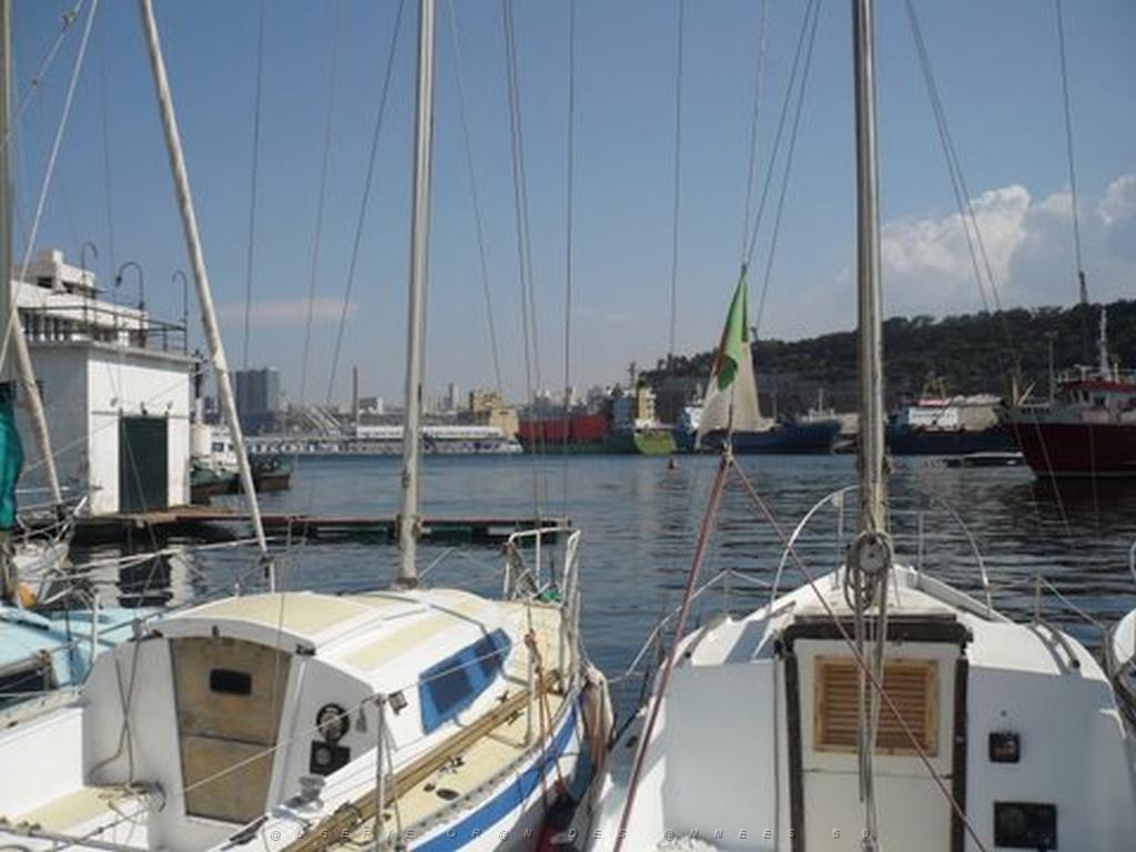 P1010463.JPG