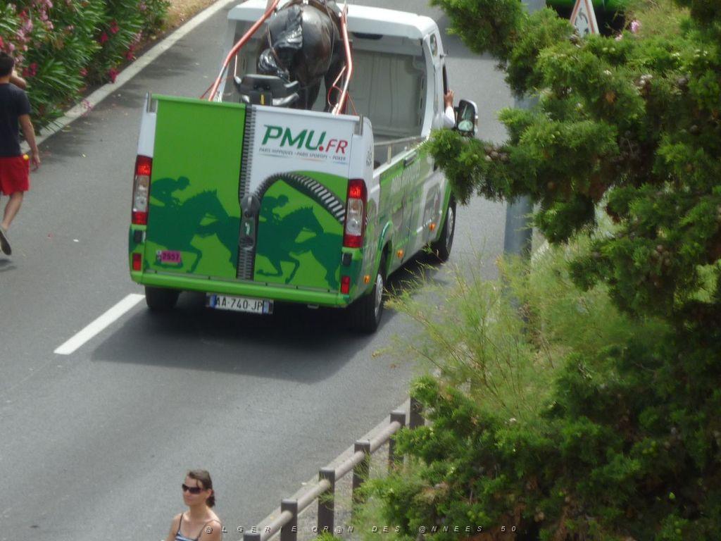 P1070964.JPG