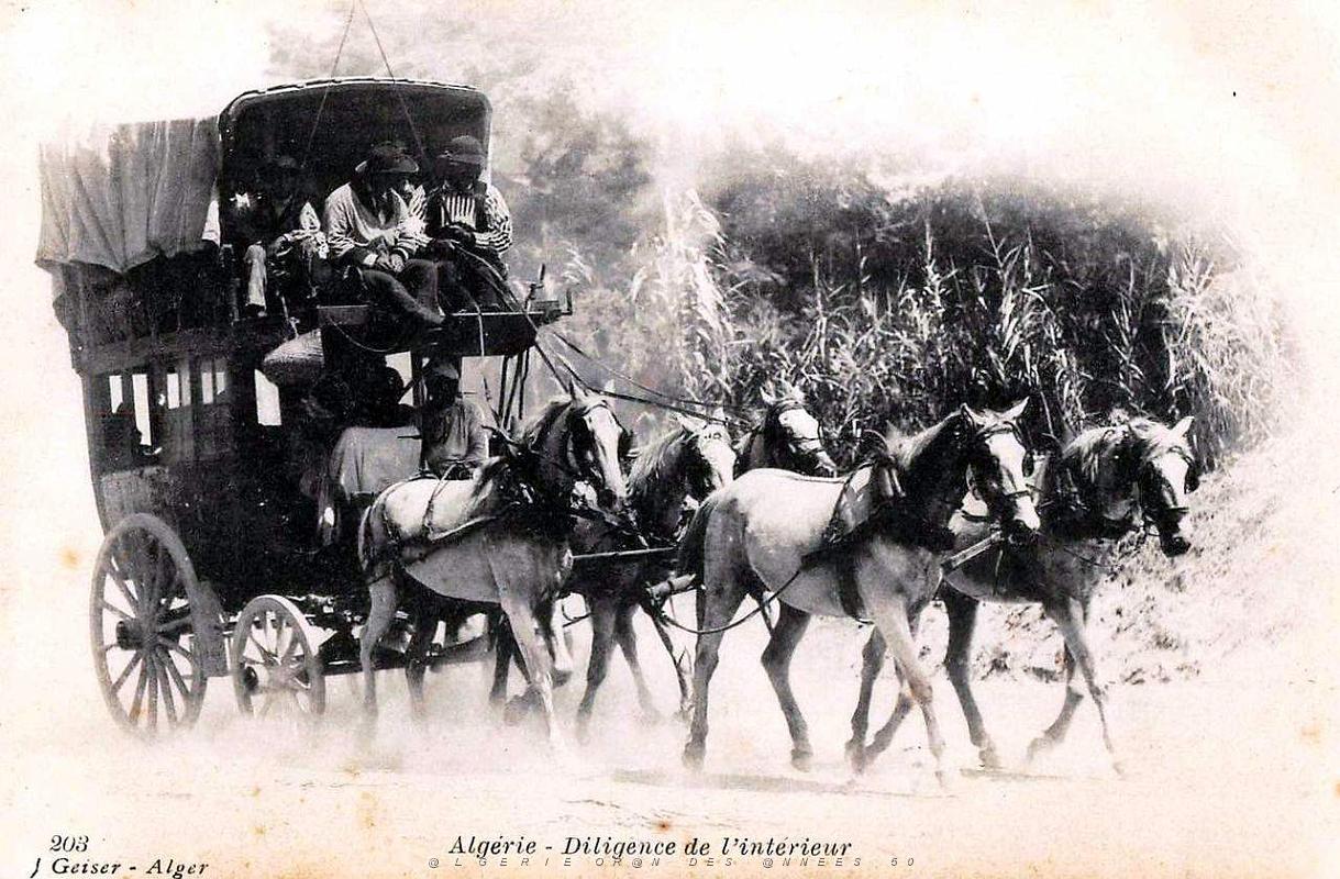 Algerie.jpg