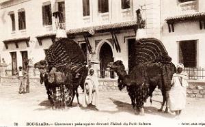 Bou-Saada