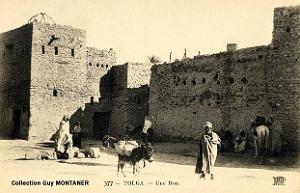 Tolga