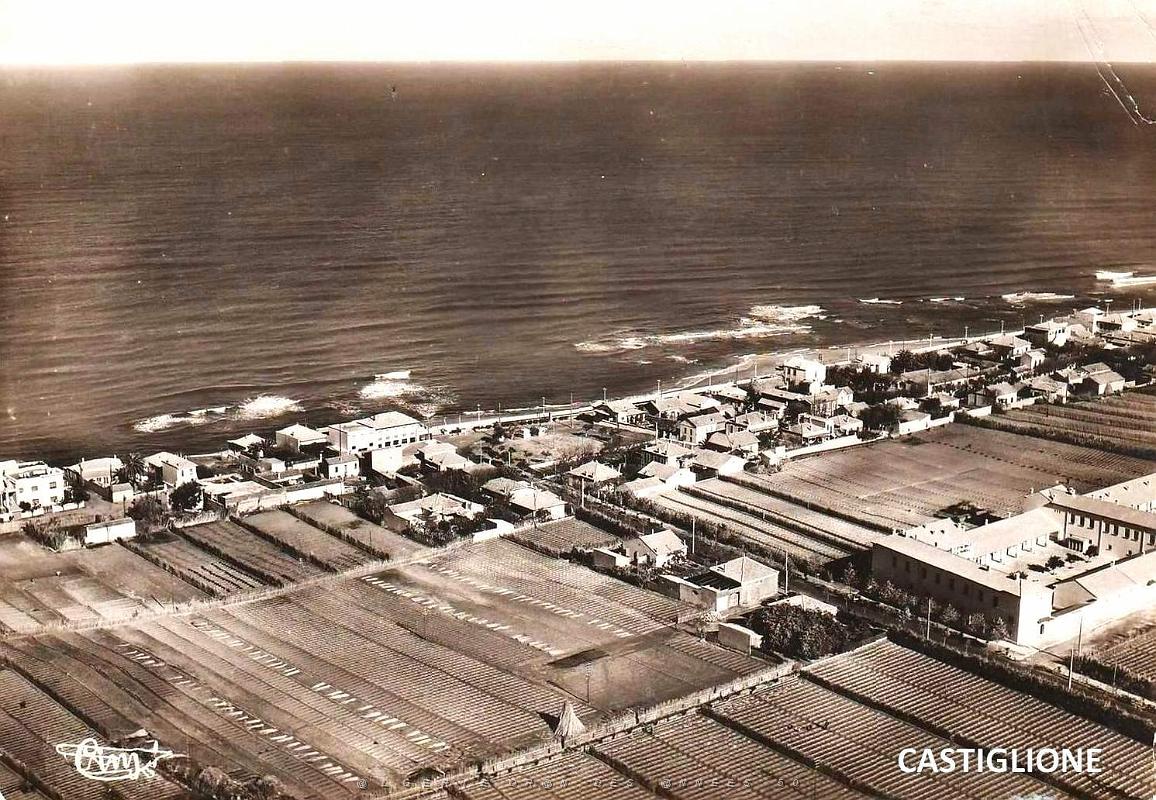 Castiglione.jpg