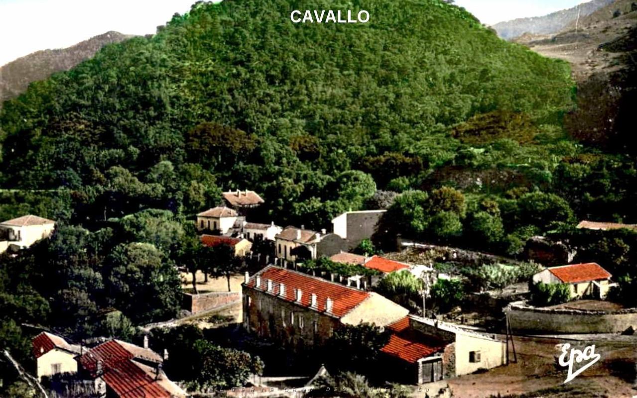 Cavallo.jpg