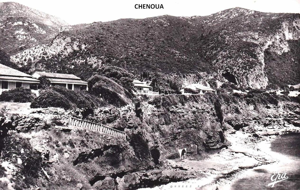 Chenoua.jpg