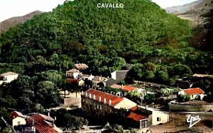 Cavallo