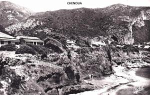 Chenoua