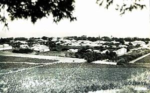 Gouraya