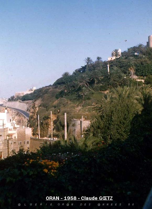 app00043.jpg