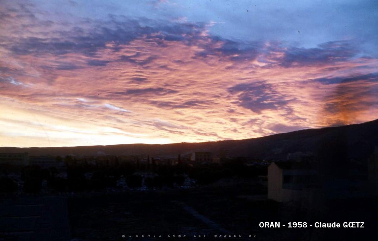 app00045.jpg