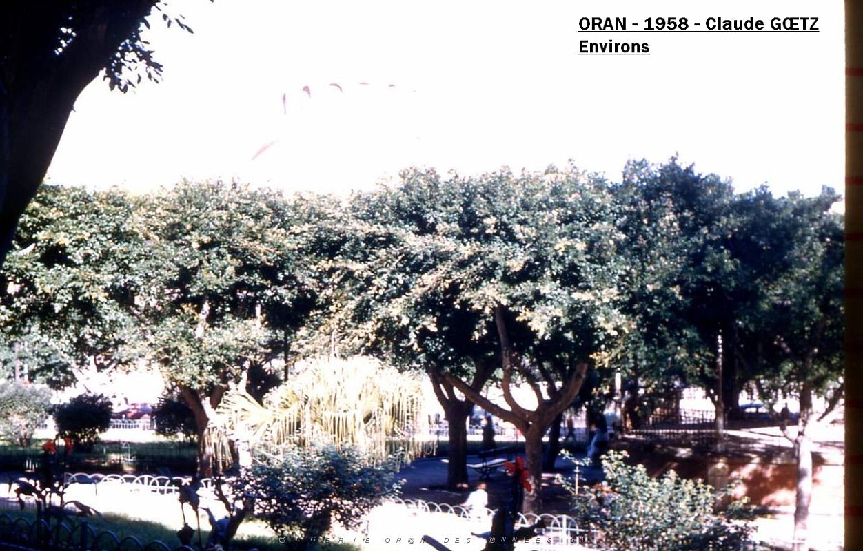 app00050.jpg