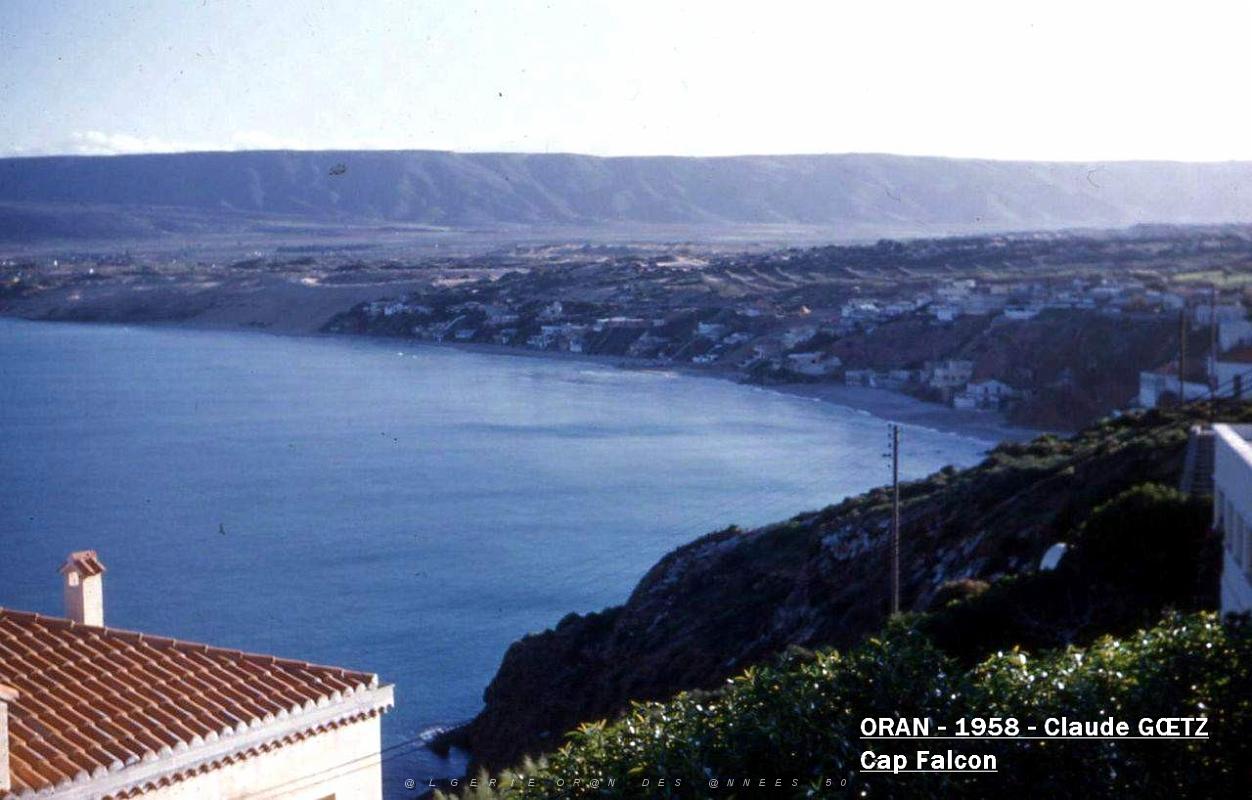 app00059.jpg