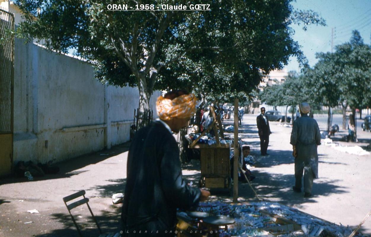app00071.jpg
