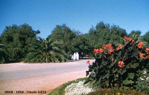 app00035