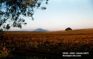 app00048