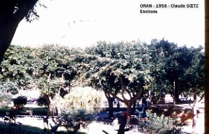 app00050