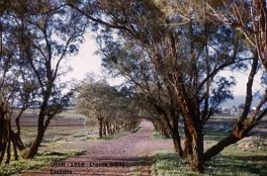 app00074