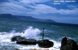 app00083
