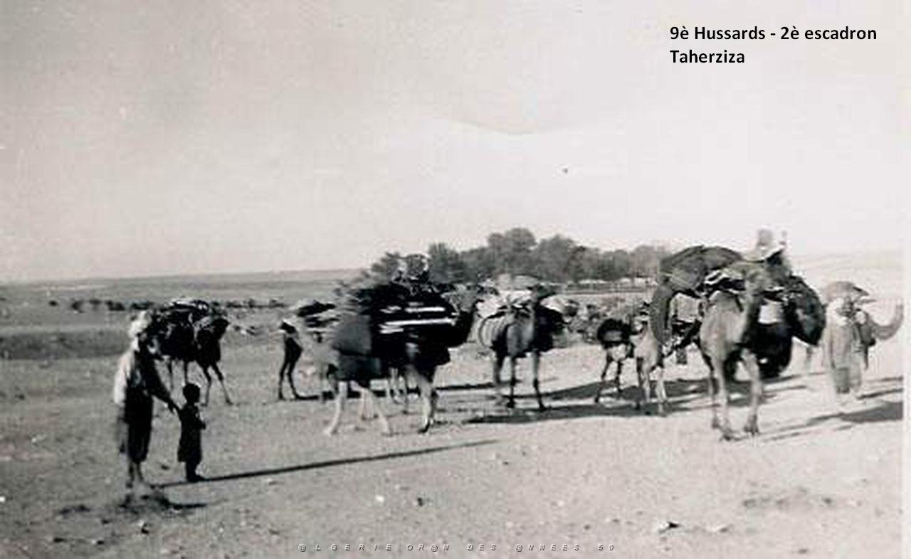TAHERZIZA-4.jpg