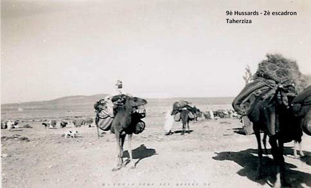 TAHERZIZA-5.jpg