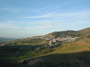 nedroma8