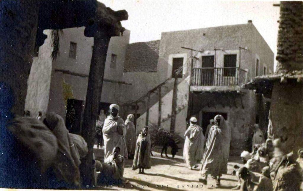 015d.jpg