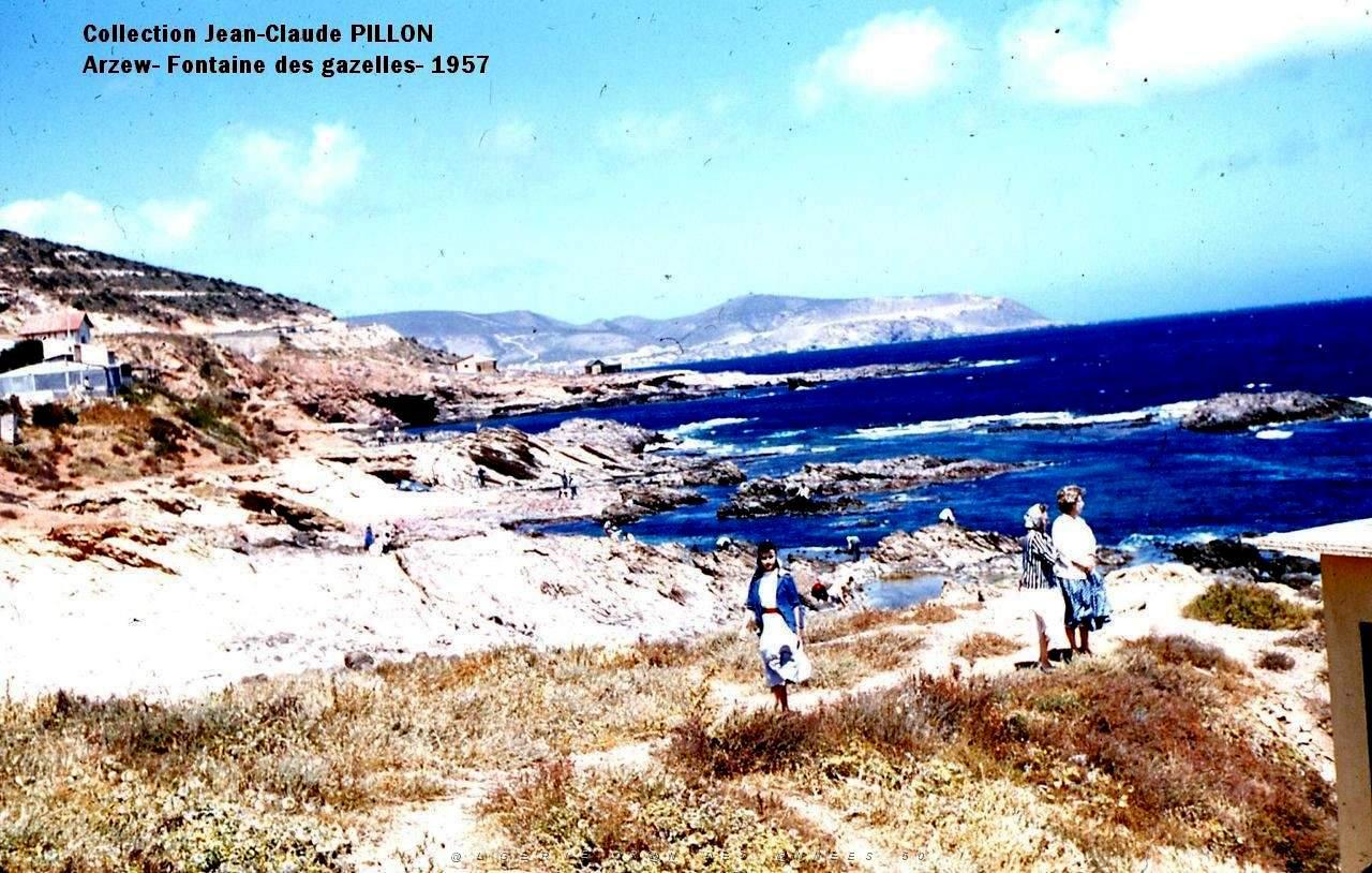 FONTAINE-GAZELLES-1957.jpg