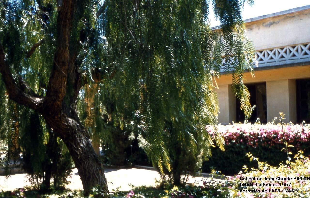 patio4.jpg