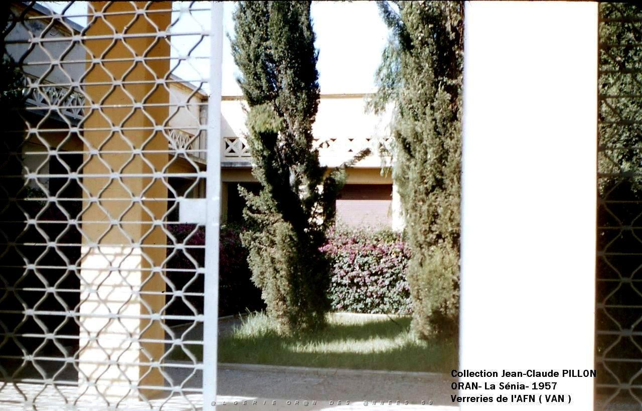 patio5.jpg